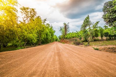 Free Photo | Dirt road in the forest