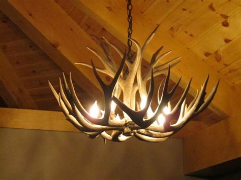 Replica Deer Antler Chandelier | Light Fixtures Design Ideas