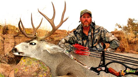 5 Factors For Success With A Traditional Bow | Bowhunting.com