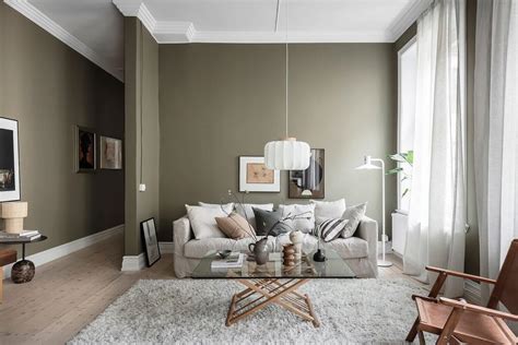 Olive Green Living Room Decorating Ideas | Baci Living Room