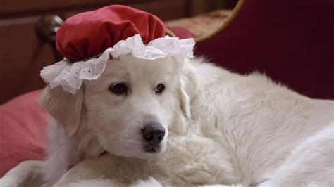 Santa Paws 2: The Santa Pups - Alchetron, the free social encyclopedia