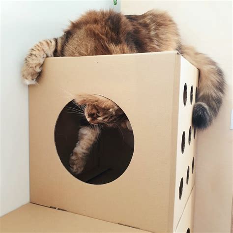 Cardboard 9 Modular Cat House / Box Playhouse Furniture Cave | Etsy