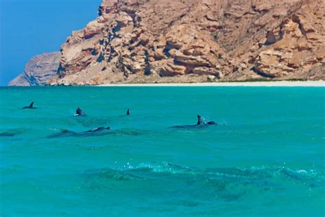 Socotra Beach - World's Exotic Beaches