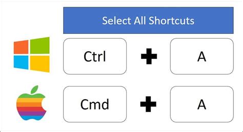 The Select All Shortcuts (Word, Excel and PowerPoint)