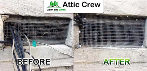 Rodent Proofing » Attic Crew