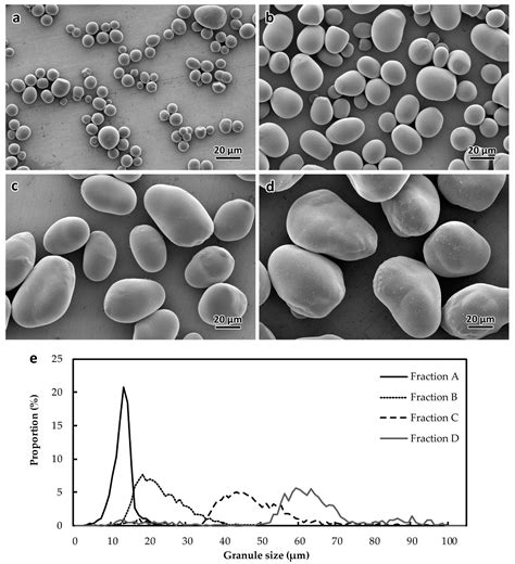 Plants | Free Full-Text | Intra-Sample Heterogeneity of Potato Starch Reveals Fluctuation of ...