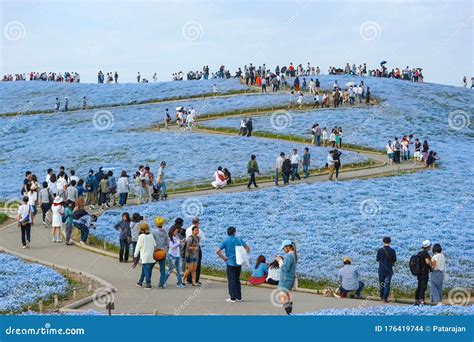 2017 MAY 06, IBARAKI JAPAN. Tourists at Hitachi Seaside Park Editorial Stock Image - Image of ...