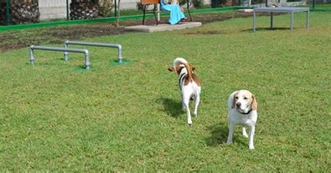 San Julian Park (Oviedo) For Our Dogs