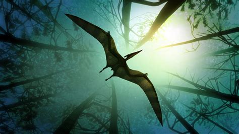 Hunting for Flying Dinosaurs in a Remote Corner of the World