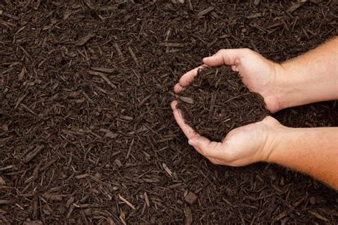 Benefits of Organic Mulching to Your Property 2019