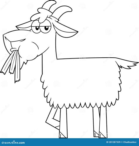 Outlined Funny Goat Cartoon Character Eating a Grass Stock Vector ...