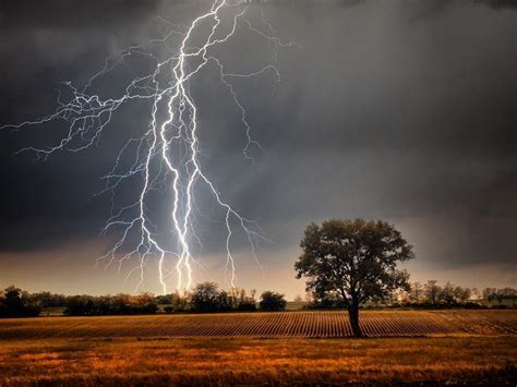 Dry Lightning Forecast In Bay Area, Fire Risk Increased | Pleasanton, CA Patch