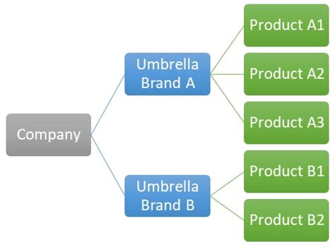 Umbrella Brand - Definition, Importance & Example | Marketing Overview | MBA Skool