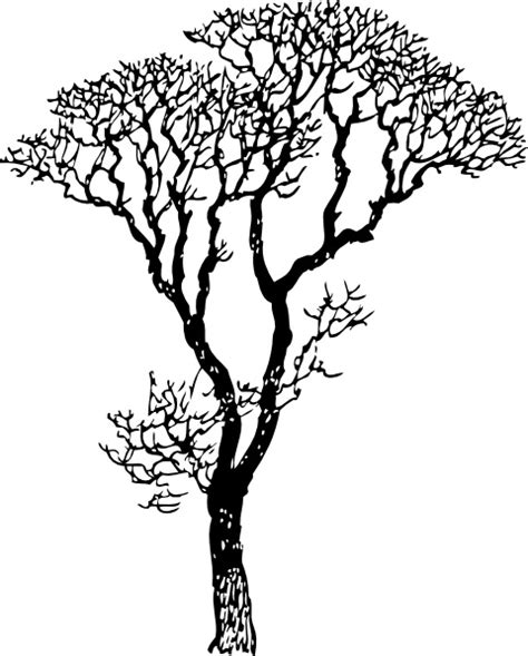 Bare Tree clip art Free vector in Open office drawing svg ( .svg ...