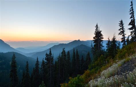 Hurricane Ridge Trail | Washington travel, Hurricane ridge, National parks