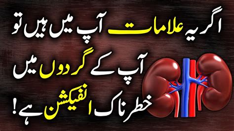 Kidney Infection Symptoms / Signs - Diabetes Starting Symptoms - Cancer Symptoms Urdu Hindi ...