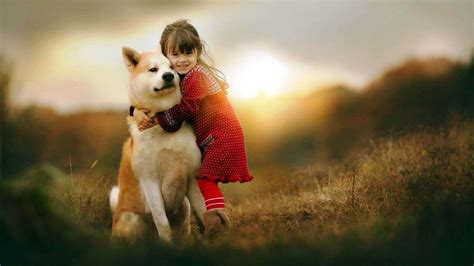 amistad perro y humano - fondos de pantalla de amor y amistad ...