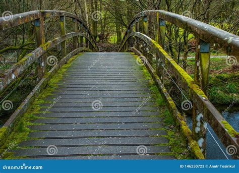 Wooden Bridge Over Creek in Lake District Stock Image - Image of beautiful, path: 146230723