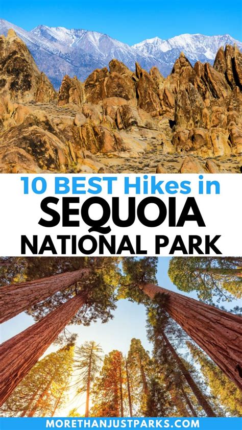 10 BEST Hikes in Sequoia National Park (Honest Trail Guide)