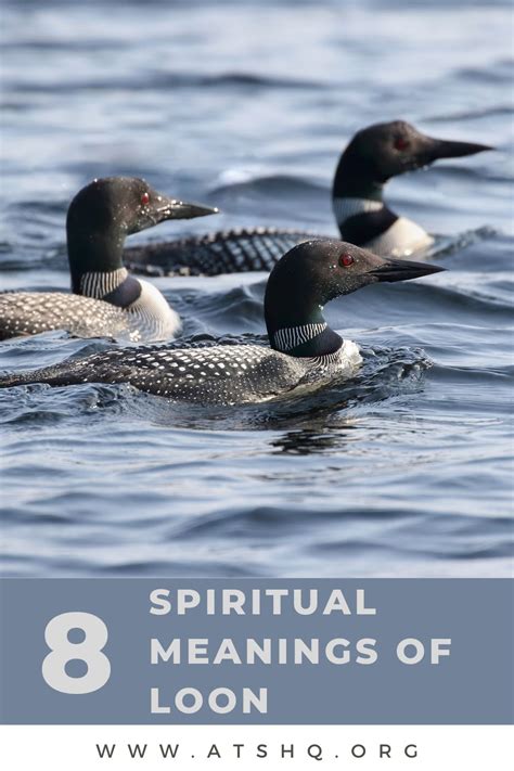 Loon Symbolism: 8 Spiritual Meanings of Loon