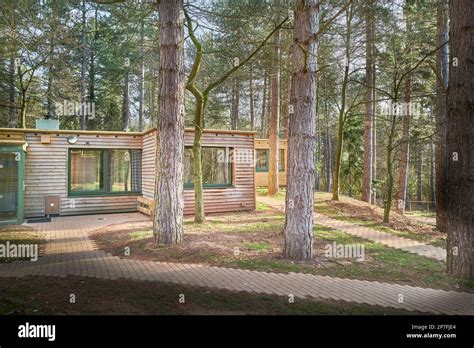 Lodge at Center Parcs, Sherwood Forest, England Stock Photo - Alamy