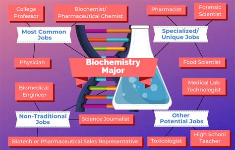 Unveiling The Path To A Biochemistry Career: A Comprehensive Guide To The ASU Biochemistry Major ...