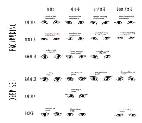 Eye Shapes Chart And Names