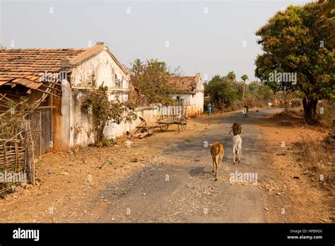 India village street scene, Maharashtra State, India, Asia Stock Photo ...