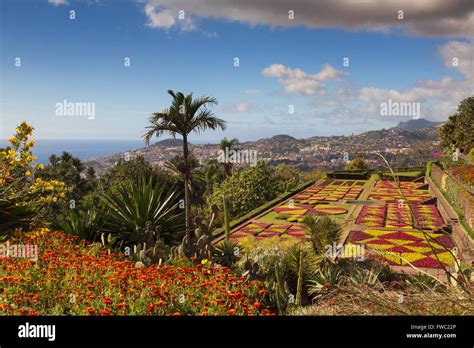 Botanical garden of Funchal, Madeira, Portugal Stock Photo - Alamy