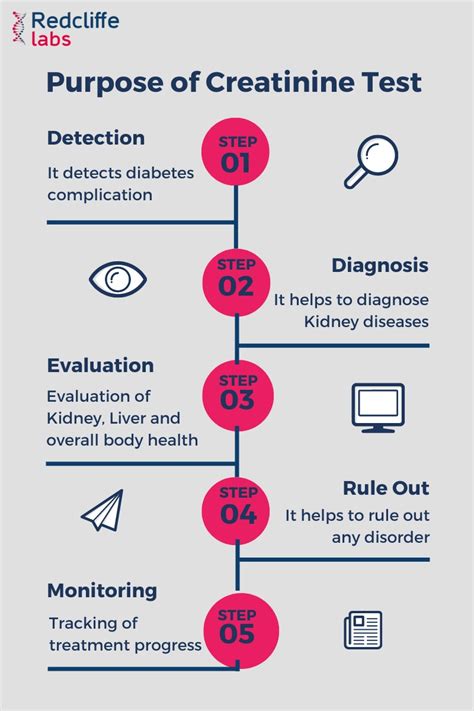 Creatinine Test - Price, Procedure, Results, Range - 2024