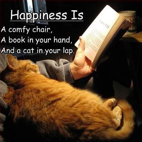 Happiness is... ~via Cats and Kittens on Fb (With images) | Cats, Good books, I love cats