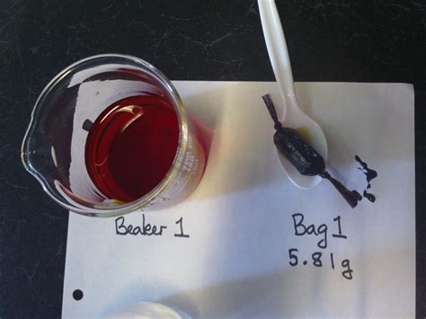 Diffusion Lab - Paul Poncie Biology