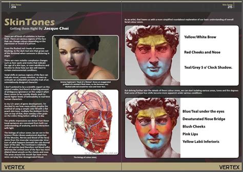 Understanding Skin Color Zones in Portraiture