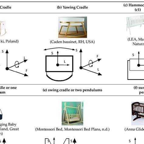 Types of cradles and directions of the infant's body movement resulting... | Download Scientific ...