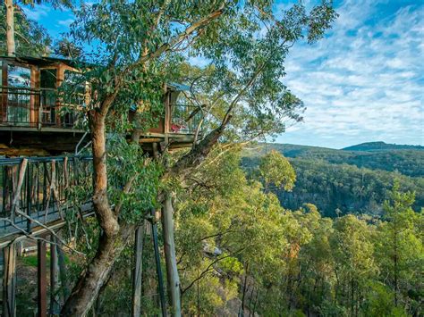 6 Spots for the Best Treehouse Accommodation in NSW | Man of Many