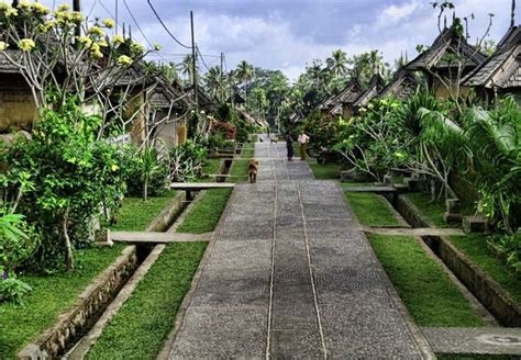 Visitbali - Penglipuran Traditional Village, A Clean And Comfortable Village In Bangli Regency