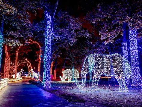 7 Best List Of Detroit Zoo Lights Tickets 2024 Ideas Tour | by Rsantika | Jan, 2024 | Medium