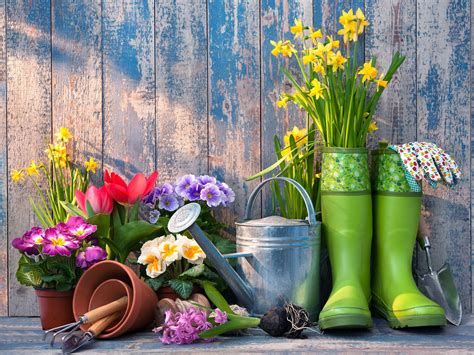 19 Gardening Tips That Save Time, Money and Effort | Reader's Digest