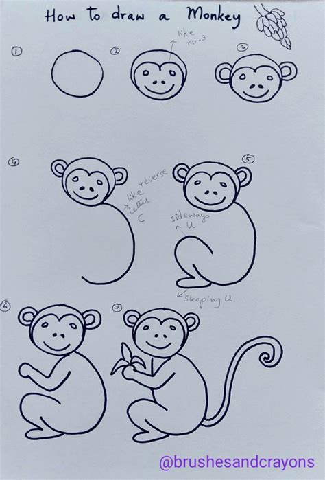 Monkeys Drawings Step By Step