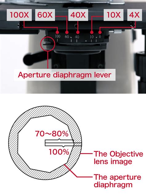 Condenser Lens