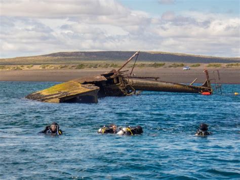 What it's like to go SCUBA diving with sea lions in Punta Loma Argentina - Adventure Family ...