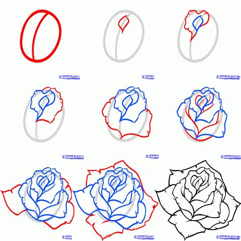 Pin by Hugo Henrique on Drawings | Roses drawing, Easy flower drawings, Rose step by step