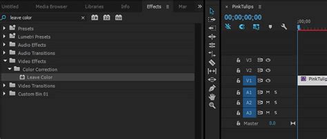 Adobe premiere pro effects - nratraveler