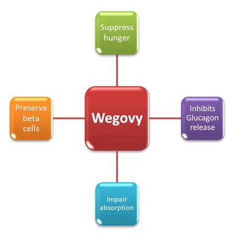 Semaglutide Mechanism Of Action: Ozempic, Rybelsus, And Wegovy