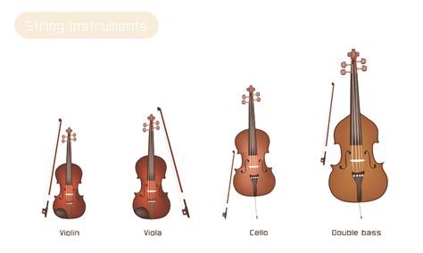 Violin, Viola, Cello, and Bass! What is the difference? | Lessons in ...