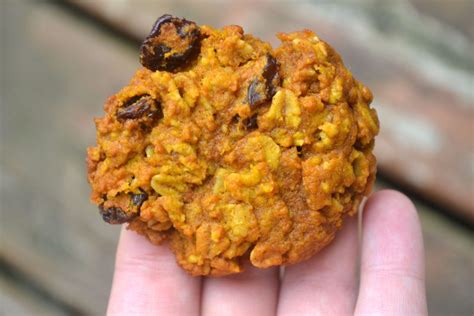 Flourless Pumpkin Oatmeal Raisin Cookies - Make the Best of Everything