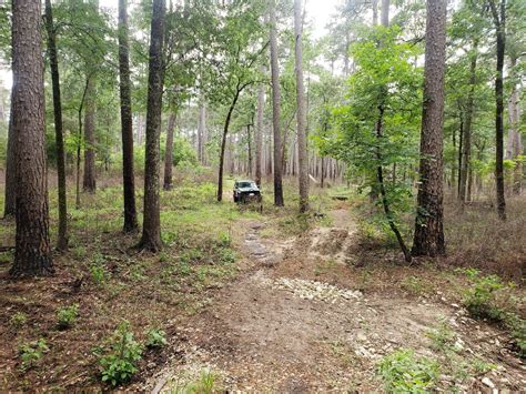 On the trail in Sam Houston National Forest. : CherokeeXJ