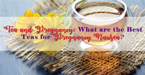 Tea and Pregnancy: What are the Best Teas for Pregnancy Nausea?