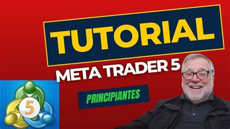 Tutorial para Meta Trader 5, para principiantes - YouTube