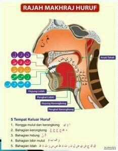 Makhraj Huruf: An Illustrated Diagram of the Human Body in English and Arabic